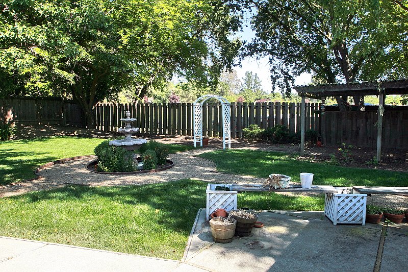 Back Yard 6.jpg